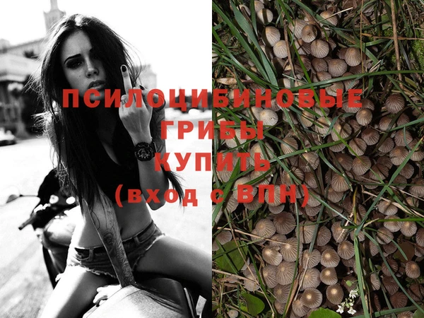 мескалин Абаза
