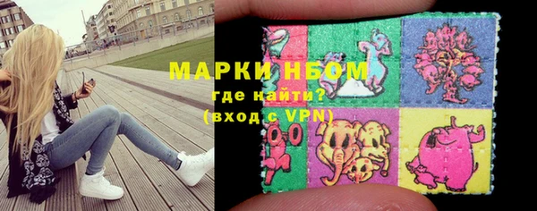 тгк Щигры