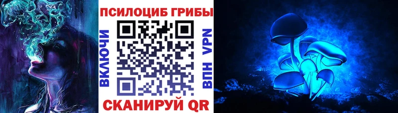 Галлюциногенные грибы Psilocybe  хочу   Звенигород 